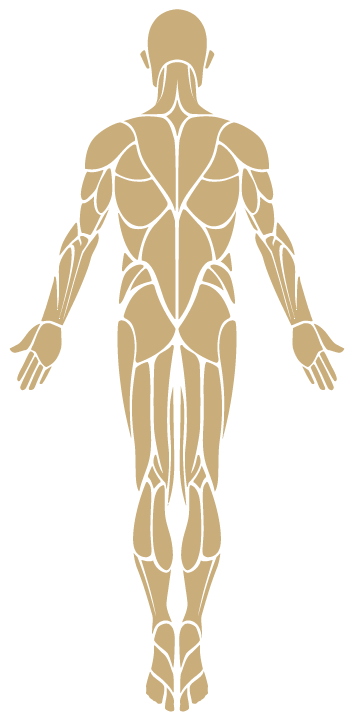 Thai Massage - Atlanta Ga